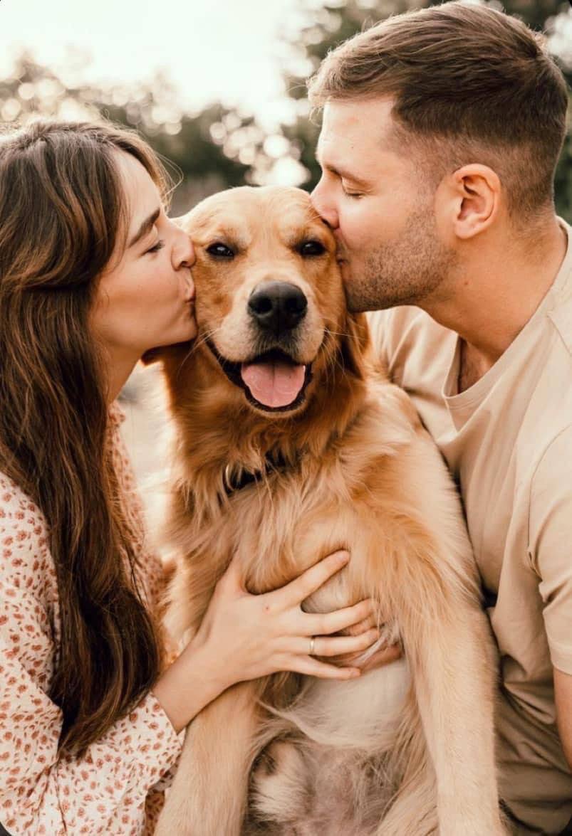 Liz and Daniel with their Golden Retriever, Misha