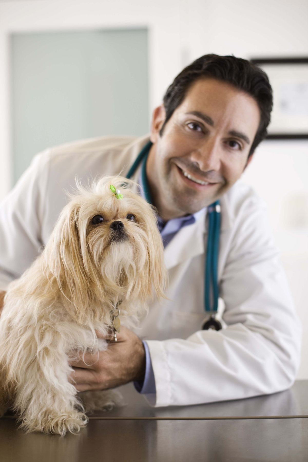 Sam, a veterinarian, caring for a dog